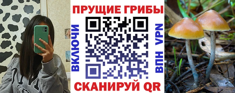 Псилоцибиновые грибы мухоморы  Кола 